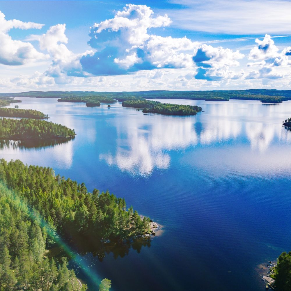 aerial-view-of-blue-lakes-and-green-woods-in-summe-2025-03-18-15-20-01-utc